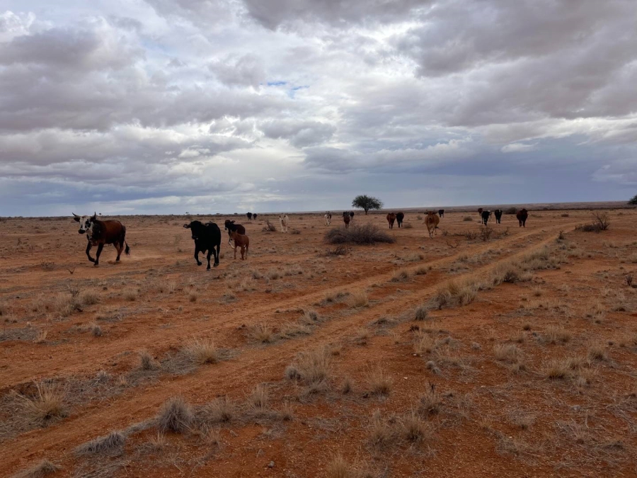 1 Bedroom Property for Sale in Kenhardt Northern Cape